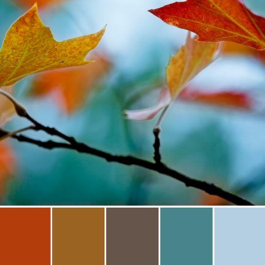 moody teal and rust orange colors